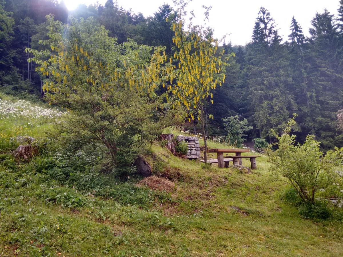 Agritur Manoncin Farm stay Daone