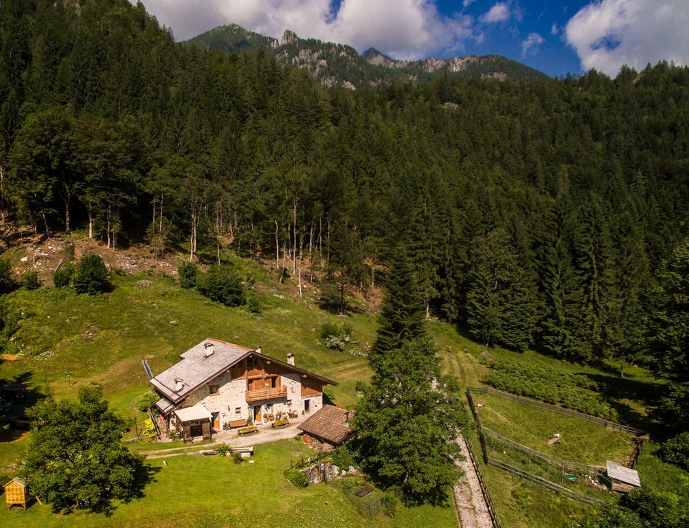 Farm stay Agritur Manoncin Daone