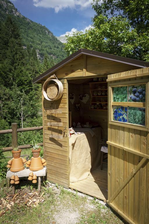 Farm stay Agritur Manoncin *