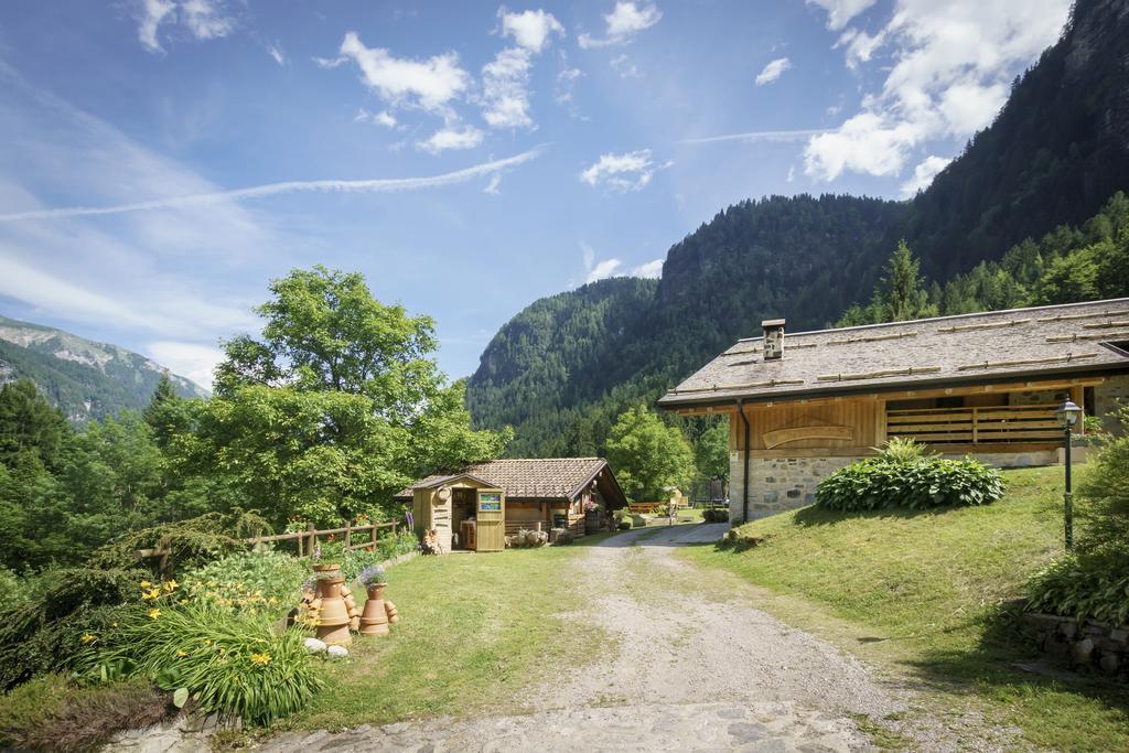 Farm stay Agritur Manoncin Daone
