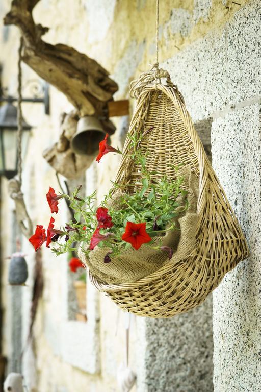 Farm stay Agritur Manoncin
