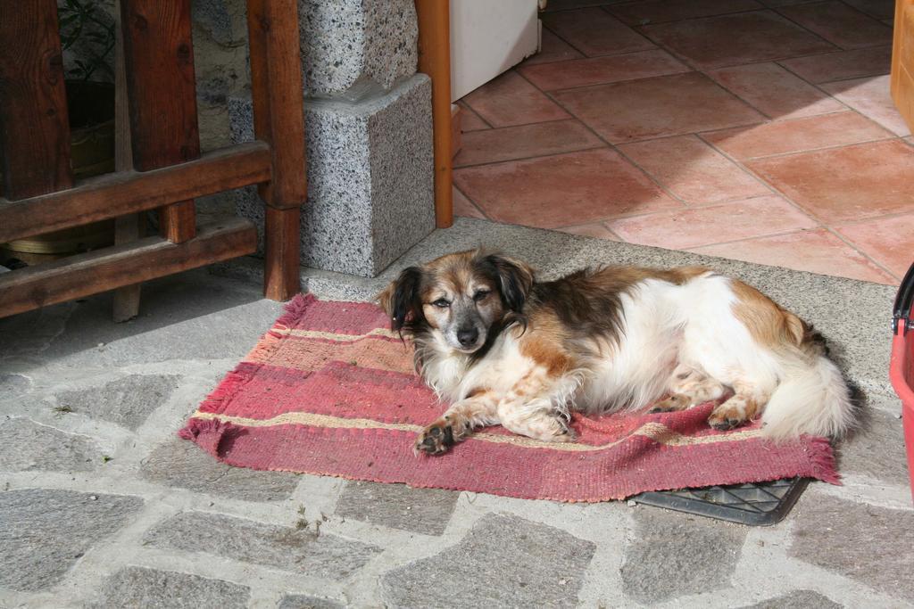 Farm stay Agritur Manoncin