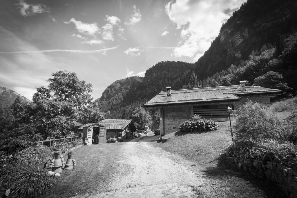 Agritur Manoncin * Daone